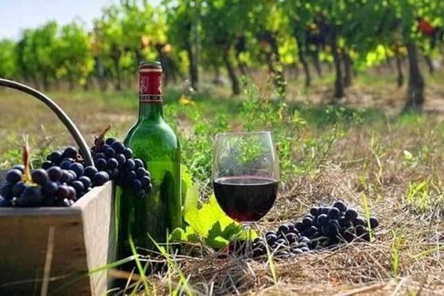 Nemean Wine - Red 'Agioritiko' primary grapes
